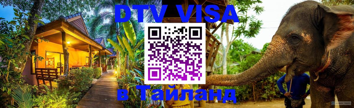 Сколько стоит DTV виза — актуальные цены, оформление даже без документов - 06.12.2025 